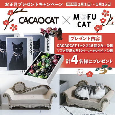 CACAOCAT
