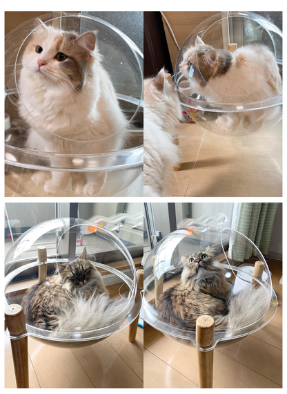 地球型カプセル猫ベッド お客さまの写真（長毛の猫が入った様子 4枚）