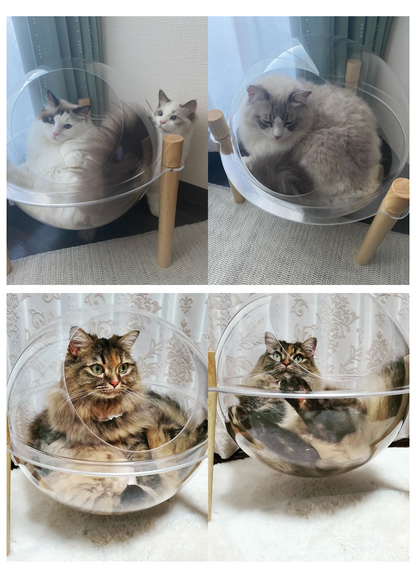 地球型カプセル猫ベッド お客さまの写真（長毛の猫が入った様子 4枚）