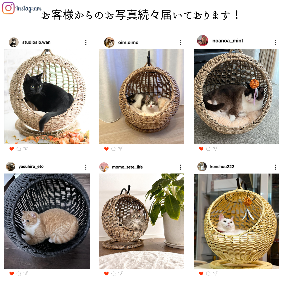 人気No.1猫ベッド！サークル型ラタン風 キャットハウス（クッション付き）