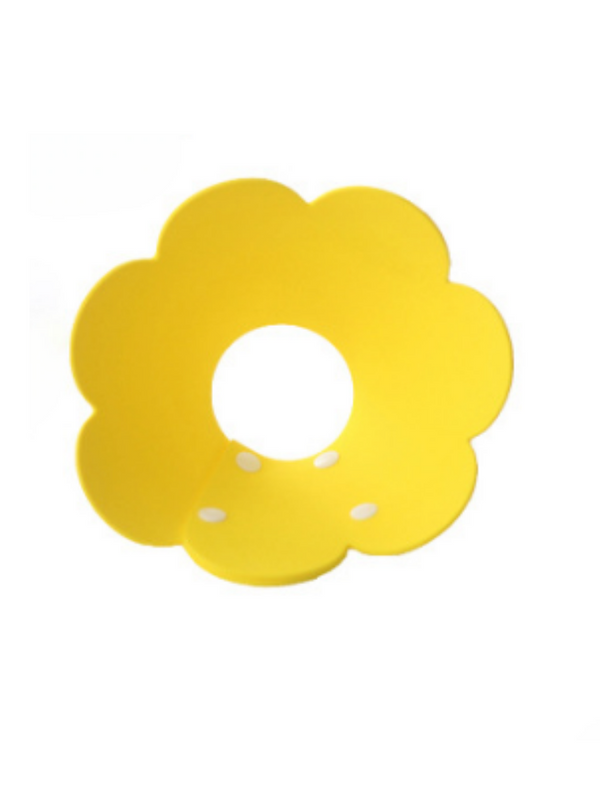 sunflower elizabeth circle 