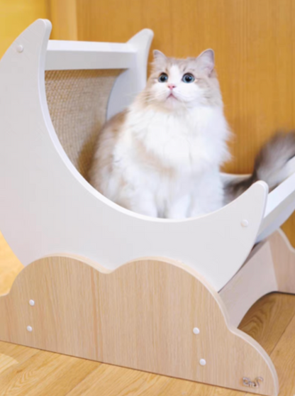 Moon scratching cat bed