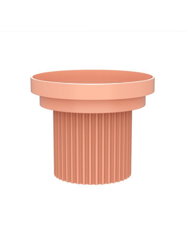 Color Variation Separate Food Bowl/Snack Plate