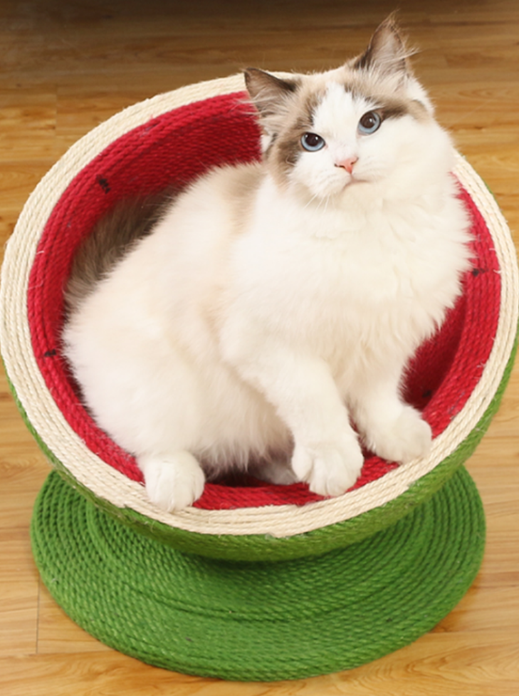 watermelon nail sharpener 