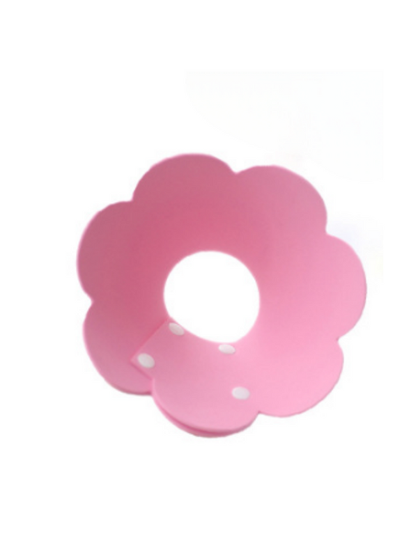 sunflower elizabeth circle 