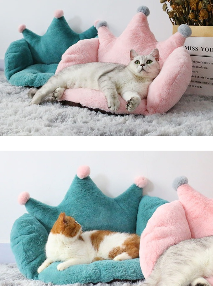 king cat bed 