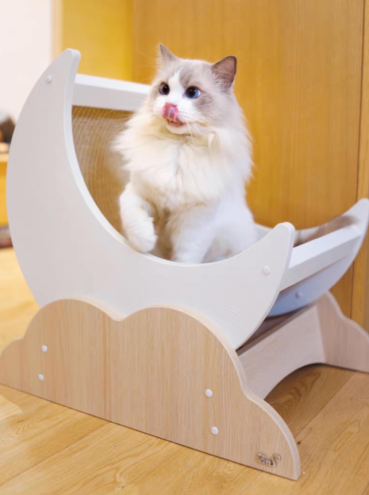 Moon scratching cat bed