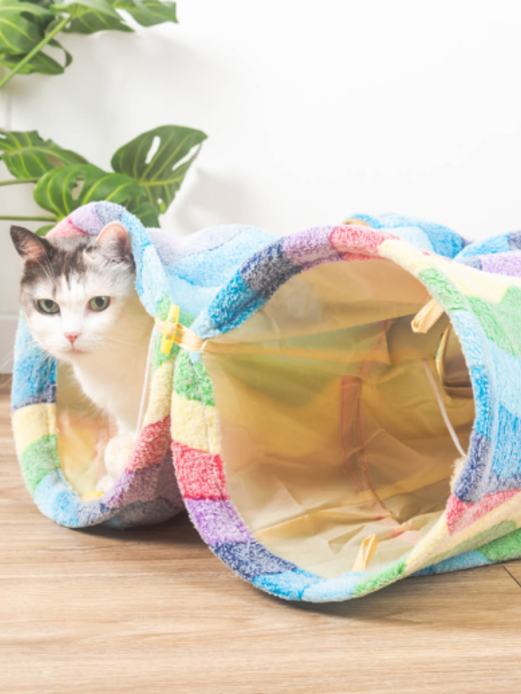 flannel rainbow tunnel