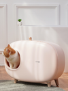 Radio type pastel cat toilet 