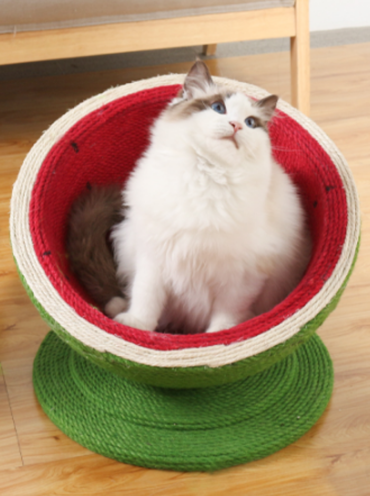 watermelon nail sharpener 