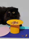Color Variation Separate Food Bowl/Snack Plate