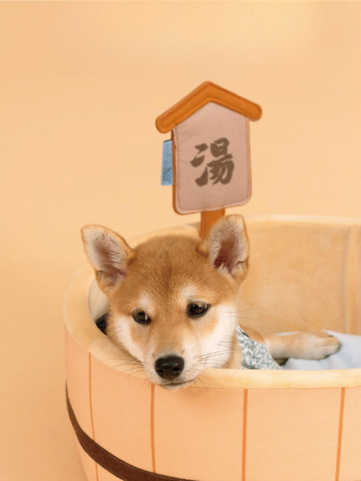 Good hot water bathtub type cat bed