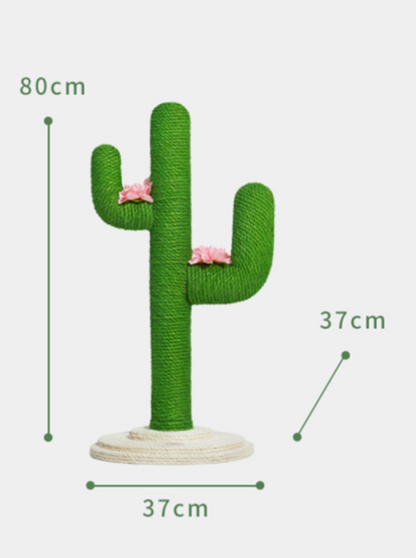 cactus nail sharpener