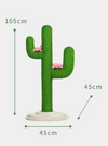 cactus nail sharpener
