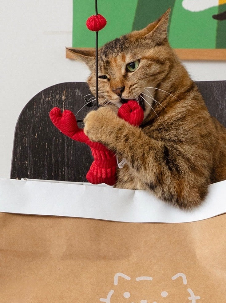 Crayfish cat toy 