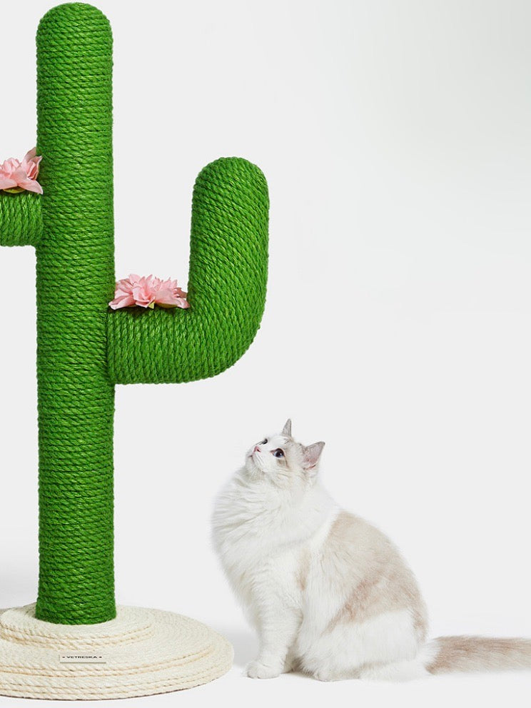 cactus nail sharpener