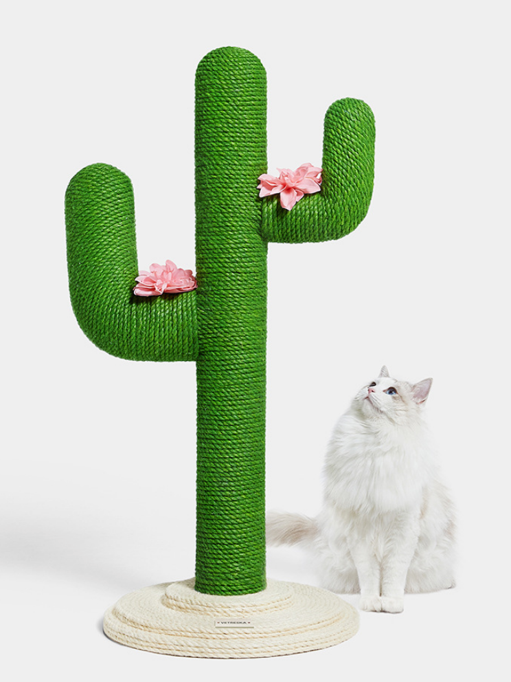 cactus nail sharpener