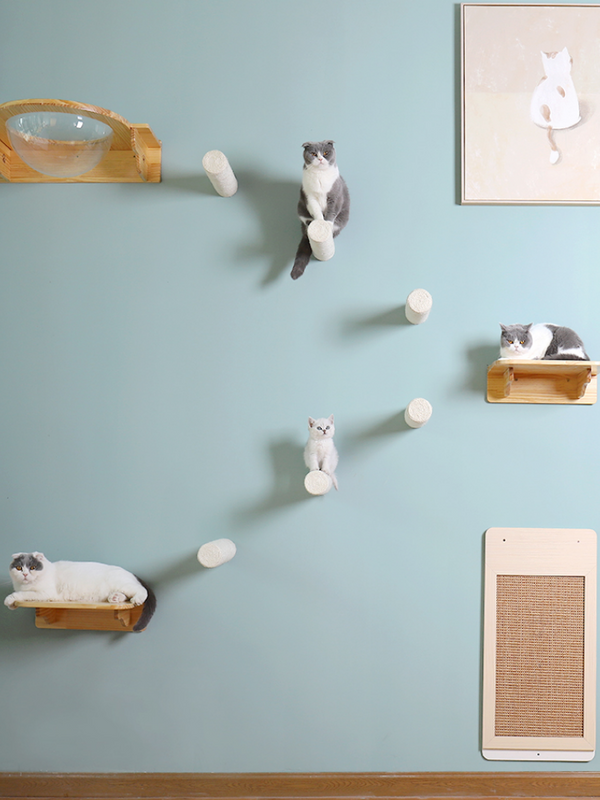 Cat step with capsule bed 