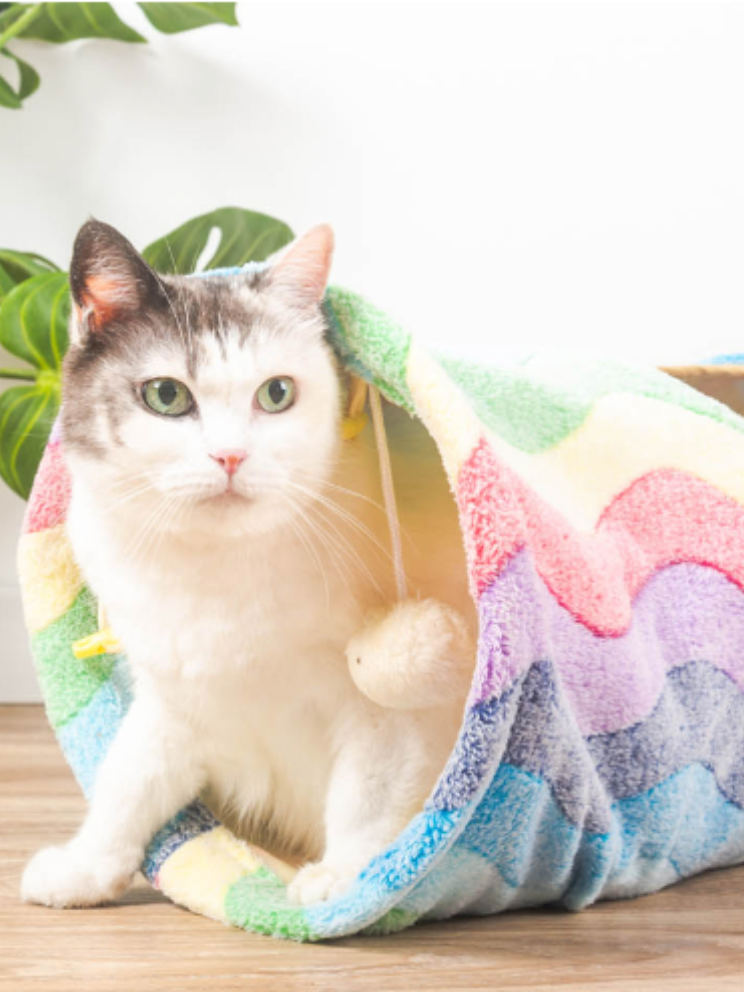 flannel rainbow tunnel