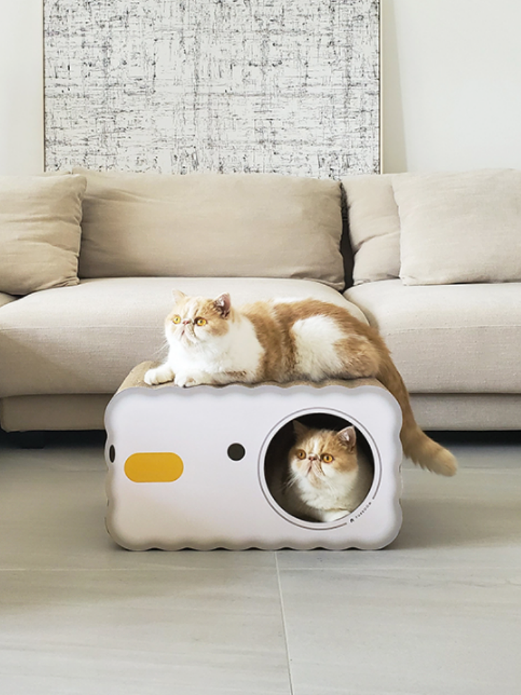 chick scratching cat house 