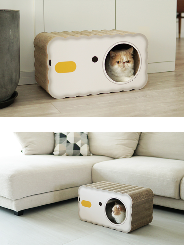 chick scratching cat house 