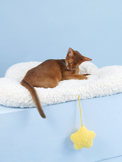 Cloud marshmallow cat bed [with star toy]