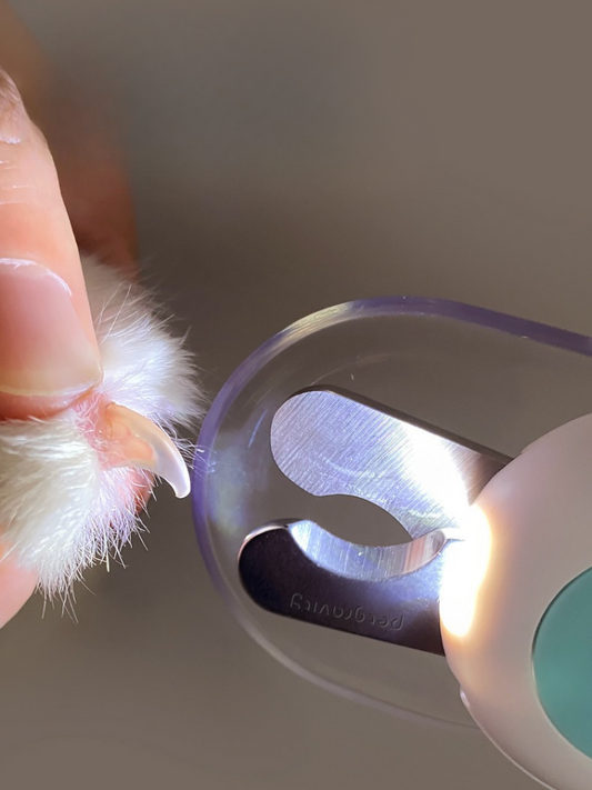 Glowing pet nail clipper [with LED light and nail file] 
