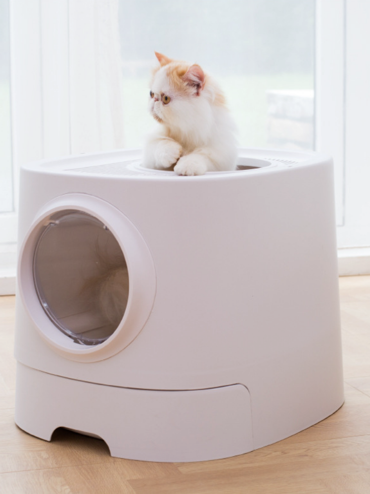 Splash-proof cat toilet 