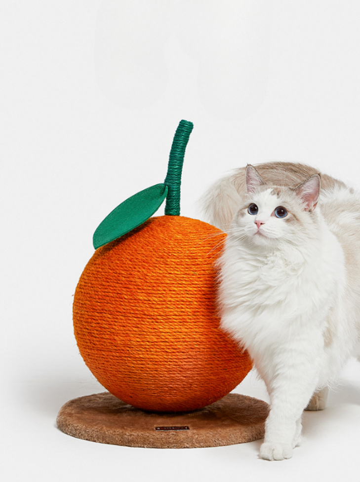 mandarin orange nail sharpener