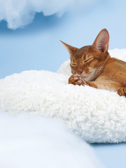 Cloud marshmallow cat bed [with star toy]