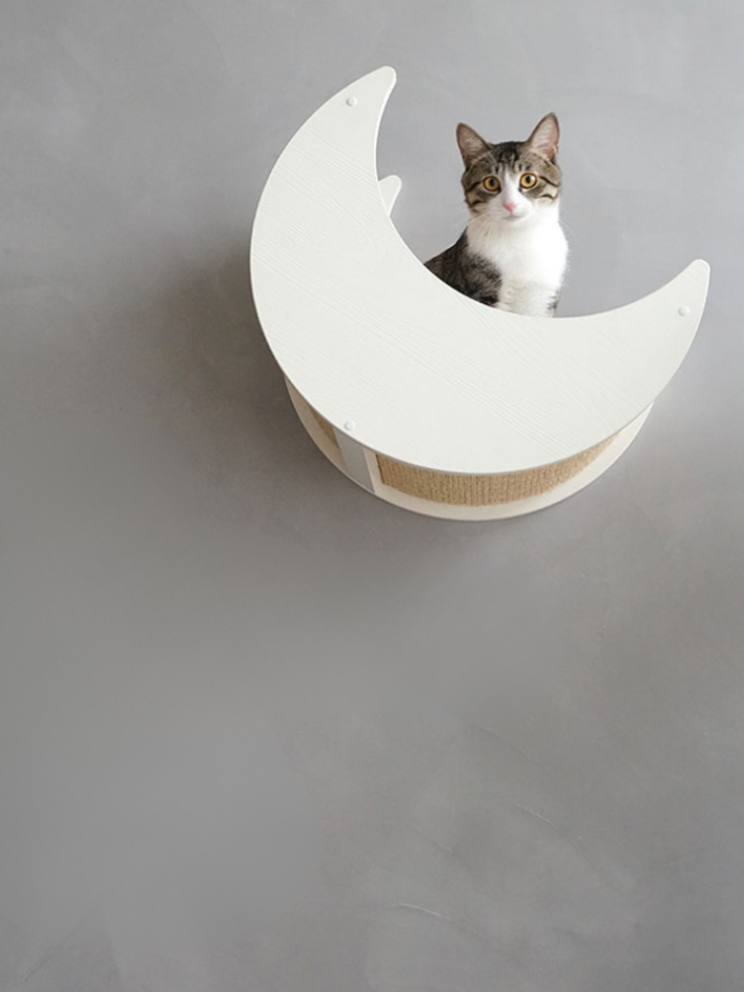 moon cat steps 