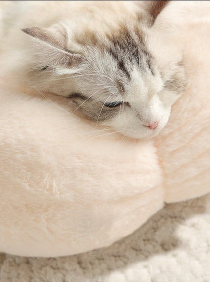 pastel flower cat bed 