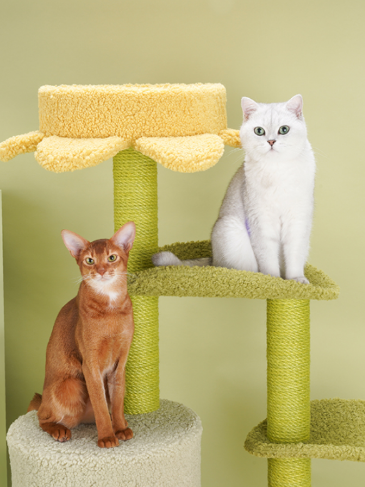 [Discontinued] Flower Tunnel Cat Tower