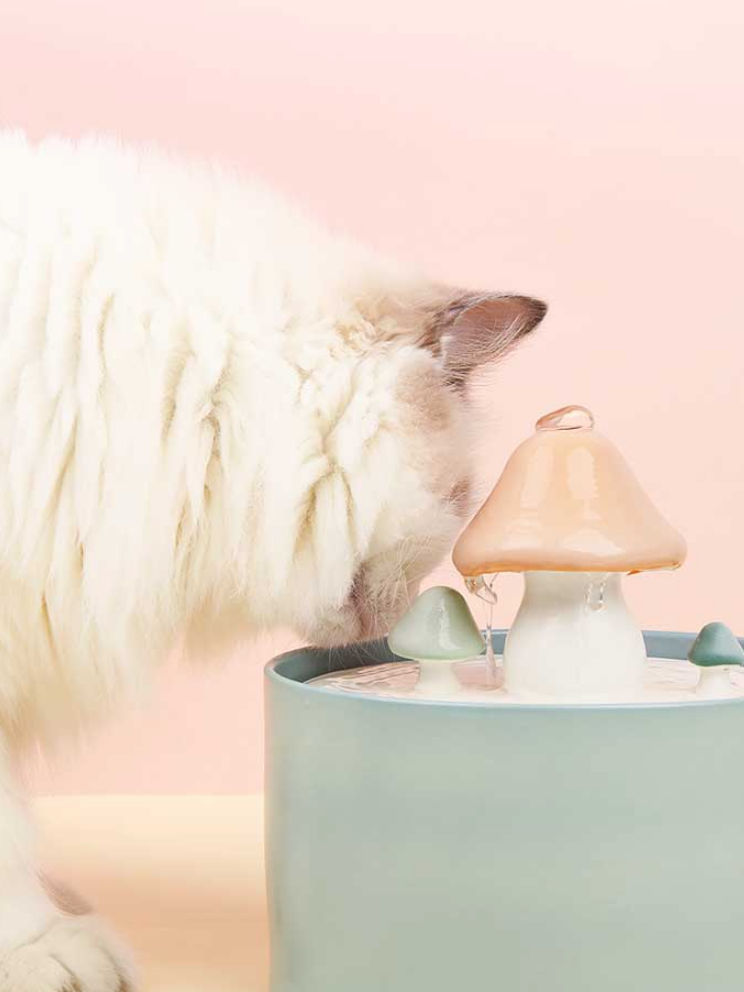 Pastel mushroom water dispenser [USB circulation] 