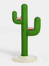 cactus nail sharpener