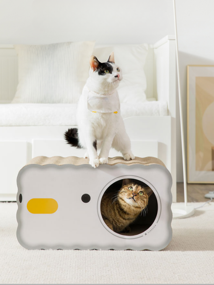 chick scratching cat house 