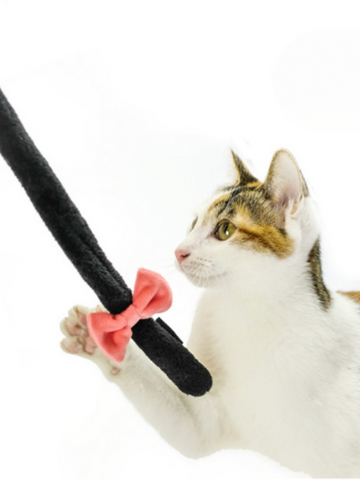 Black Cat Tail Cat Teaser Cat Toy 