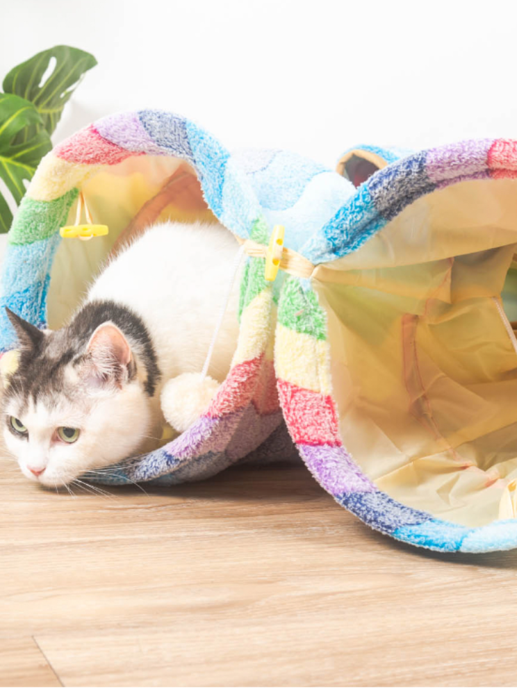 flannel rainbow tunnel