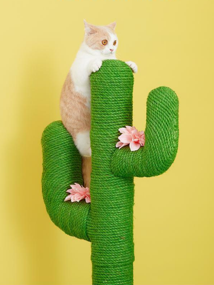 cactus nail sharpener