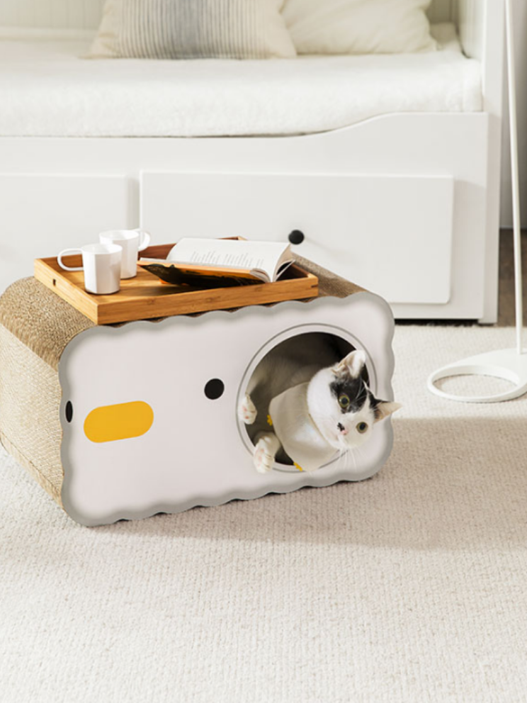 chick scratching cat house 