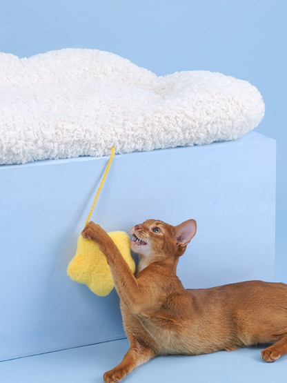 Cloud marshmallow cat bed [with star toy]