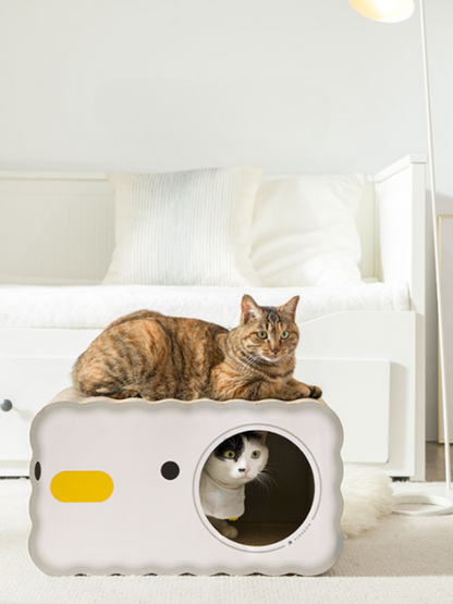 chick scratching cat house 