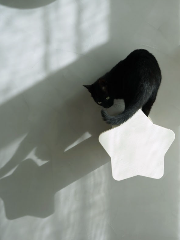 星型キャットステップ - MOFUCAT 星型キャットステップ - MOFUCAT