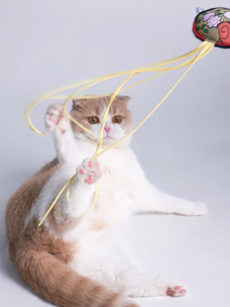 Food Fighter Cat Toy [Motsunabe, Ramen, French Fries]