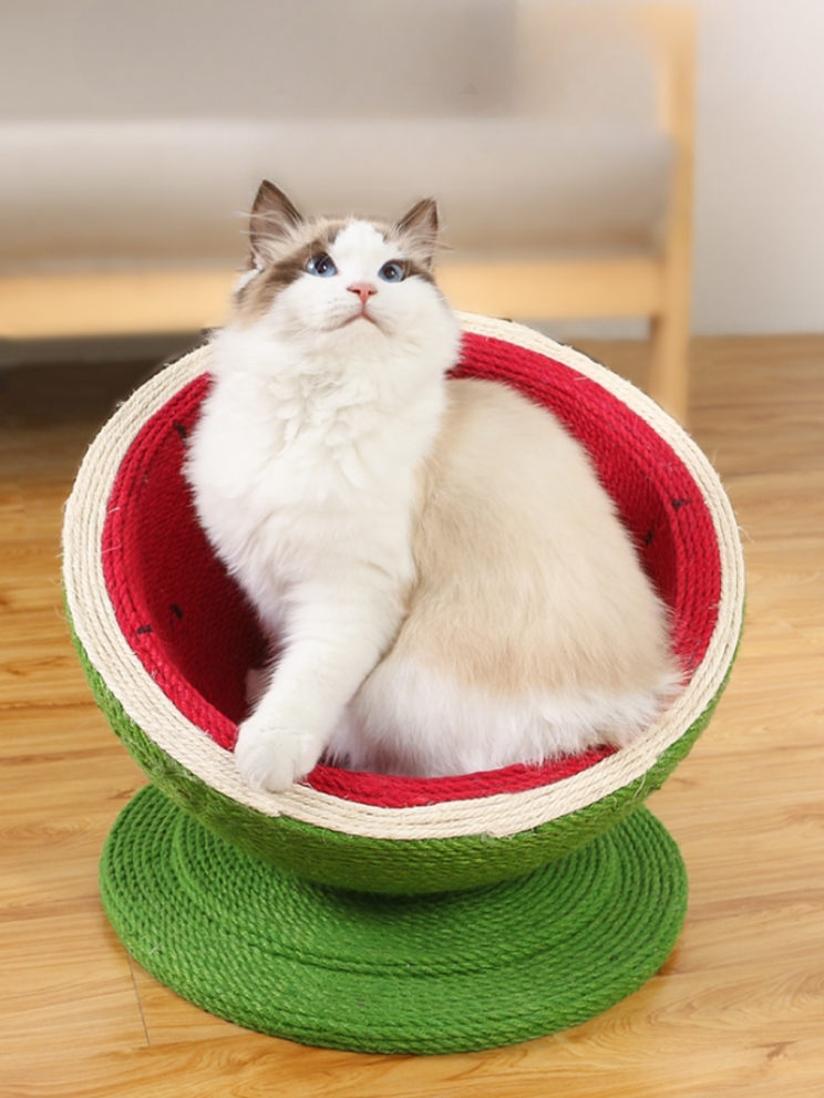 watermelon nail sharpener 