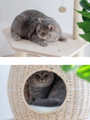 rattan hammock cat tower