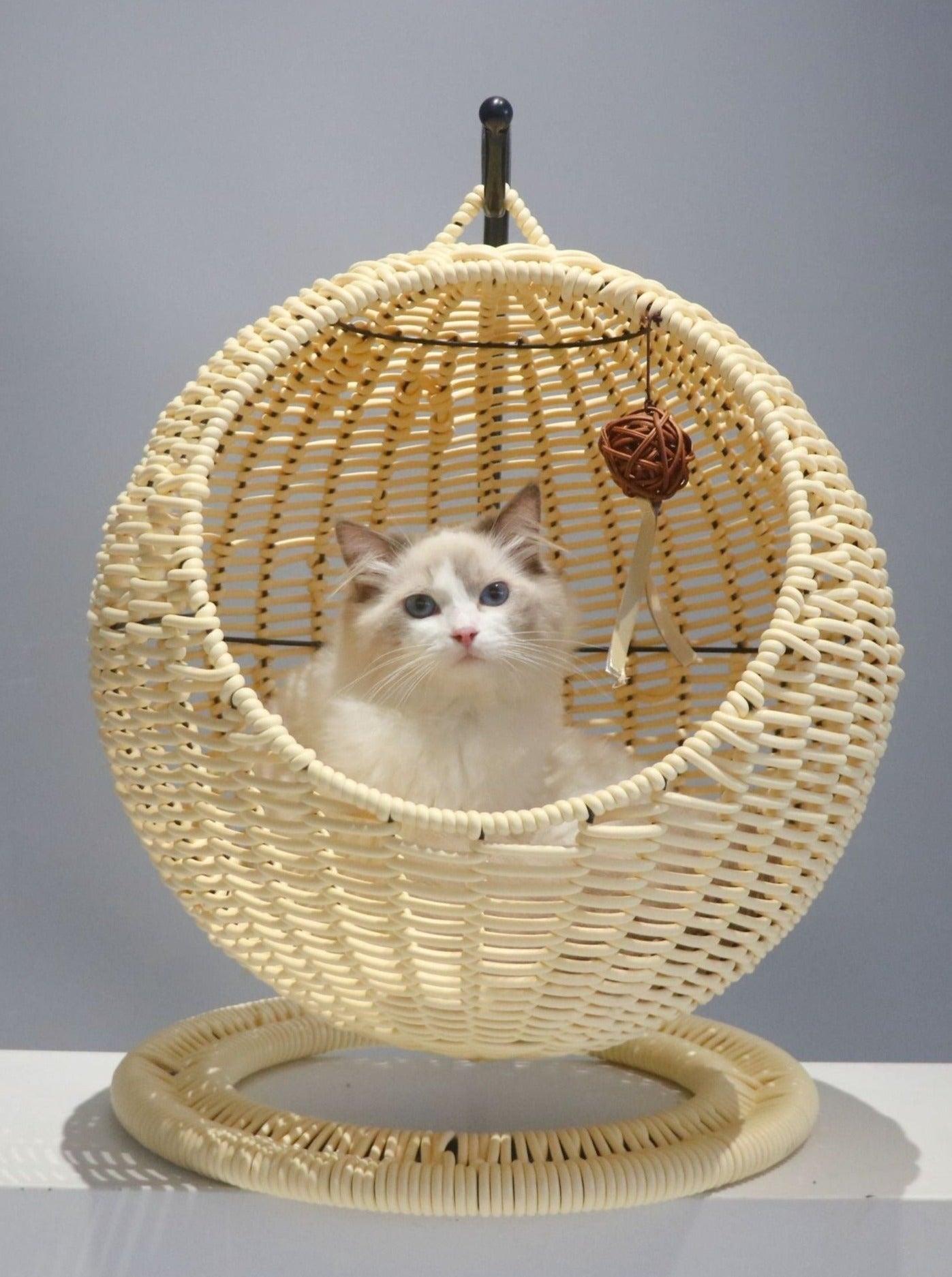 MOFUキャット⭐︎サークル型 ラタン 猫ハウス ⭐︎ | www.viva.ba