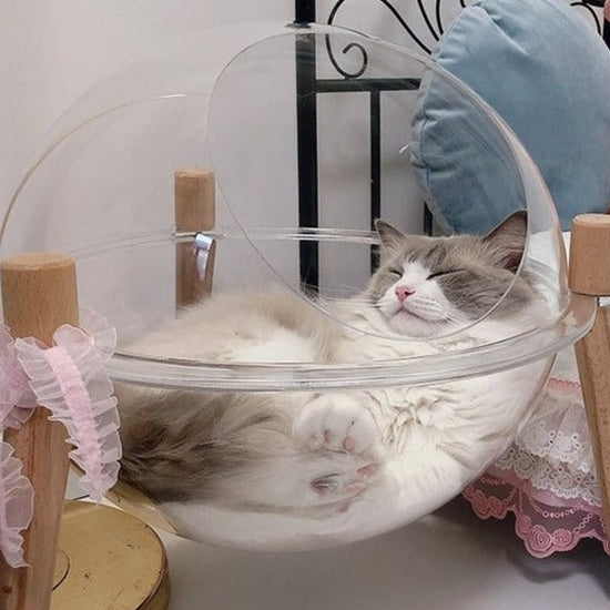 【肉球が見える！】地球型カプセル猫ベッド【送料無料】 - MOFUCAT