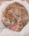 にくきゅう型猫ベッド - MOFUCAT