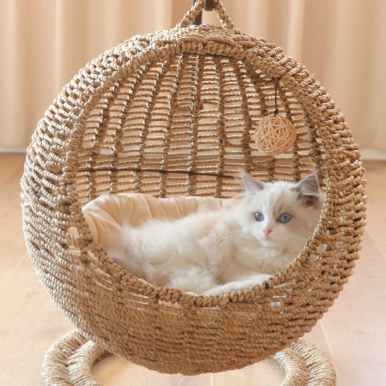 MOFUCAT人気No.1猫ベッド！サークル型ラタン風 キャットハウス - MOFUCAT
